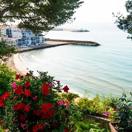 La Estrella Del Mediterraneo *